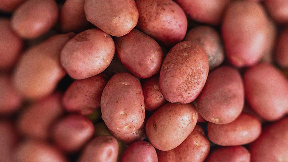 Quantité de pommes de terre par personne selon l’usage (purée, gratin, rôties) découvrez quelle quantité de pommes de terre prévoir selon les usages : purée, frites, gratin ou raclette. conseils pratiques pour bien doser vos recettes et réussir tous vos plats à base de pommes de terre.