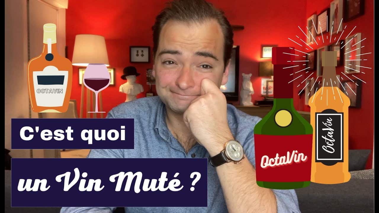 Vin de liqueur : définition, élaboration et différences avec un vin muté découvrez la différence entre vin de liqueur et vin muté : leurs méthodes d'élaboration, leurs caractéristiques, et comment les savourer. faites le bon choix pour vos dégustations !