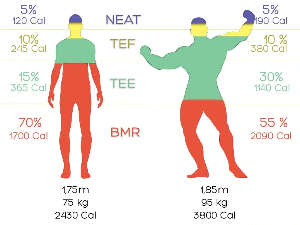Objectif perdre 2 kilos par mois : repères réalistes et bilan nutritionnel découvrez comment perdre 2 kg par mois de façon saine avec un bilan nutritionnel personnalisé : conseils, astuces et suivi diététique pour atteindre vos objectifs durablement.