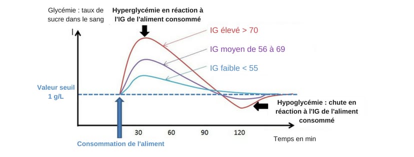 Sucres dits lents et rapides : ce que signifient réellement IG et charge glycémique découvrez la différence entre les sucres lents et rapides, leur impact sur l'énergie et la santé, ainsi que des conseils pour mieux équilibrer votre alimentation au quotidien.